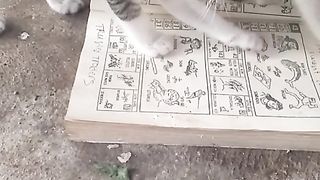 Animal lovers 813