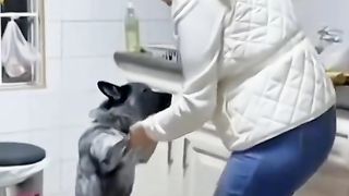 Приколи 373