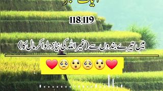 Quran verses ????❤ 3