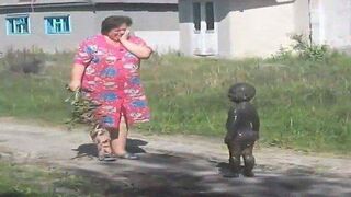 TRY NOT TO LAUGH - Best Funny Videos Compilation - Memes PART 137