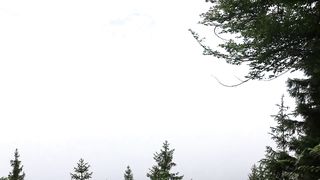 Beautiful Views | Nature | Forest | Beautiful City. 8 minutes of relaxing nature video with relaxing music