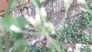 Animal lovers 817