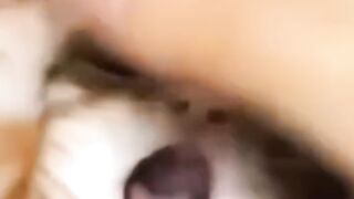 Adorable kitten | cute and funny kittens shorts
