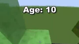 Minecraft at different ages????