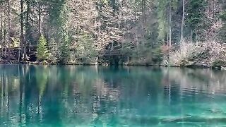 relax natur video