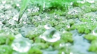 relaxing video natur