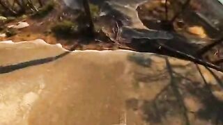 Dangerous Mountain Biker