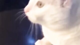 best meme 2022 # 6