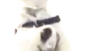 best meme 2022 # 7