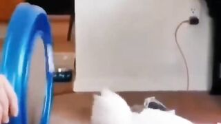 LAUGHTING OUT LOUD