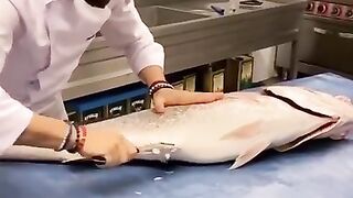 THE BEST SEA FOOD VIDEOS.
