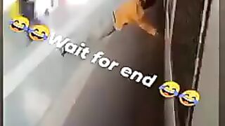 Funny videos