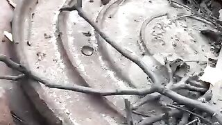 Орки не можуть пройти повз каналізаційні люки