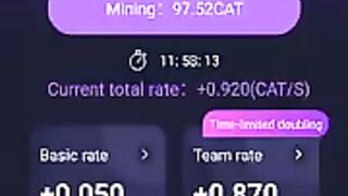 Best cat star minnig app