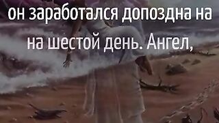 Жінка