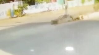 Mouj Kar Di Beta ???????? | Funny Viral Video