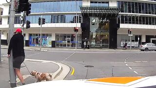 INSTANT KARMA HAHAHA