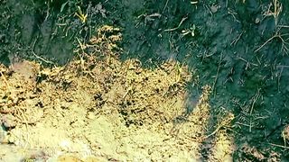 Relaxing Nature for Stress Relief | Calm and Relax | Nature Video | Shorts