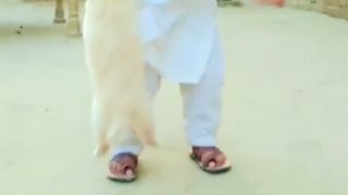 Bachey Nain Kammal Kardeya????????