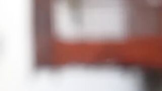Burung pentet gacor