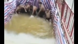 Ikan dalam truk