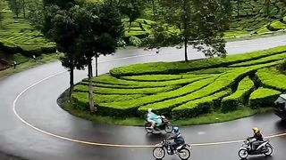 ciwidey