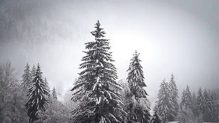 Ice land 2