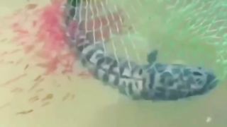 Mother Love 2