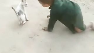 The cat and kids fight