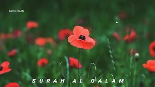 Enchanting Recitation of Surah Al-Qalam by Devoted Quran Listeners