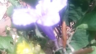 Animal  lovers 6