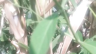 ANimal lovers 4