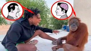offensive memes that if ylyl v21
