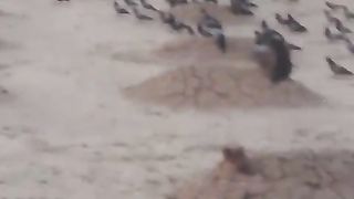 umrah 2023 | jannatul baqi madina | jannatul baqi  | jannat ul baqi ki ziyarat