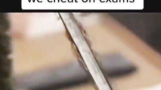Best Funny video you watch today