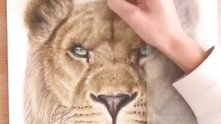 craft and Arts video 85