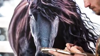 craft and Arts video 95
