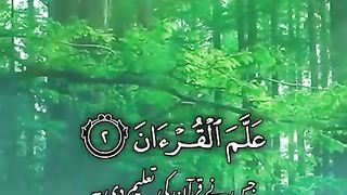 جس نے قرآن کی تعلیم دی