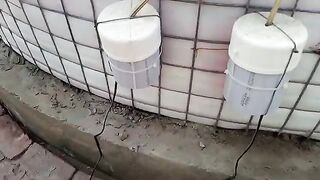Money Earnings With Bio Floc Fish Tank |