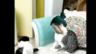 Funny Cat And Dog ???????? Videos 2023|Funny Animals 2023