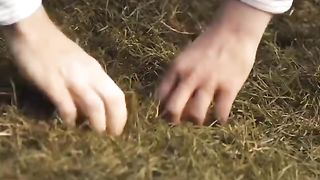Film mavia terbaik saat ini