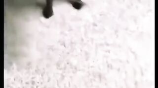 Never mess