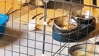 Смешные видео 2023 2