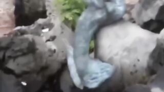 The figure of the appearance of a mysterious creature