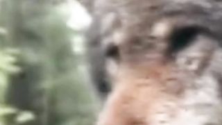 ZOO WORLD 24