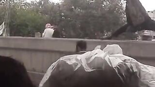Funny videos 325