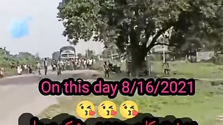 TREE SAJDA KARTAY HOWEY