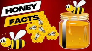 Liquid Gold: Unveiling the Secrets of Honey's Sweet Journey