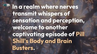 The Gatekeeper Within:  Decoding Pain Perception