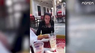 TRY NOT TO LAUGH ! If you Laugh you Lose !!